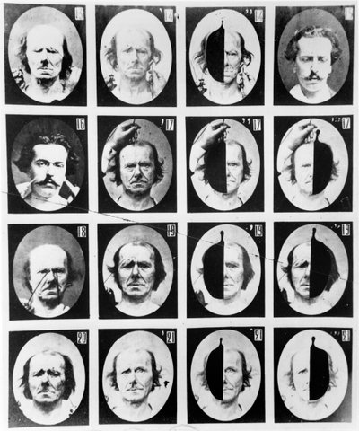 Physiognomical studies, from 